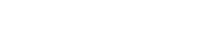 SmallFly